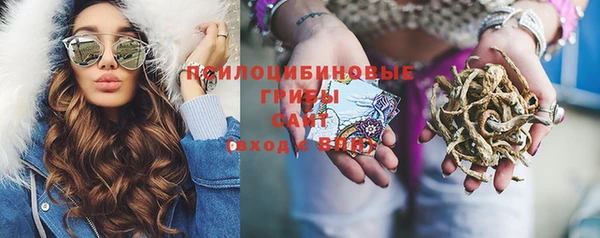 гидра Михайлов