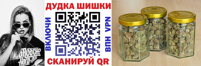Бошки марихуана THC 21%  Новотитаровская 